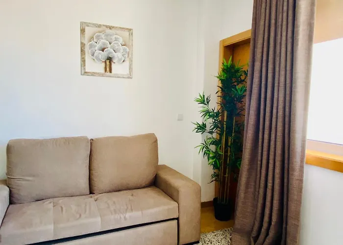 Beautiful Flats In The Best Location ポルト